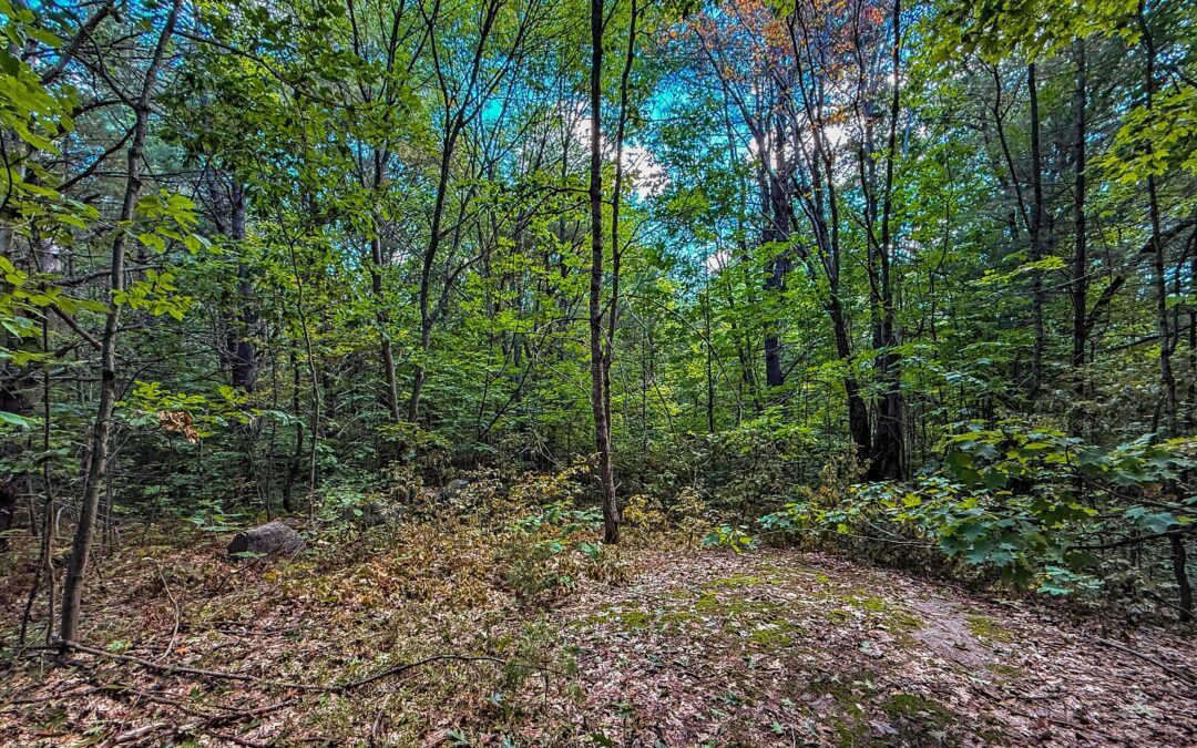 0 Langford Rd, Baysville